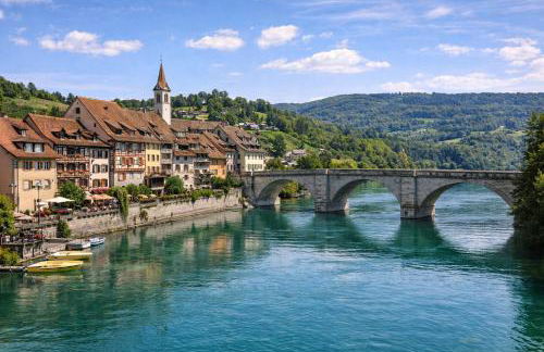 Exklusive LOFT-Wohnung, nur 30 Min von Zürich - Foto 43