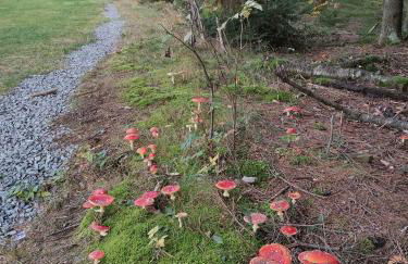 Pools, Sauna und Balkon mit Panoramablick - Foto 62