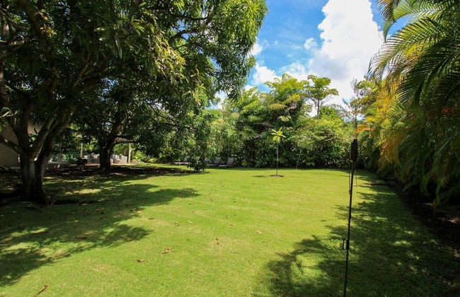 Palm Grove by Bluescape - Foto 39