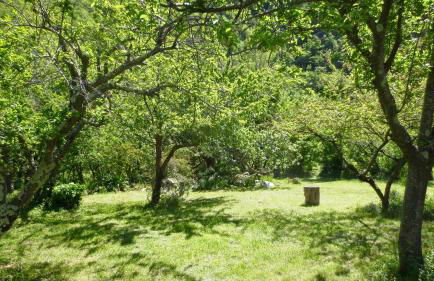 Borgata Castello - Foto 22