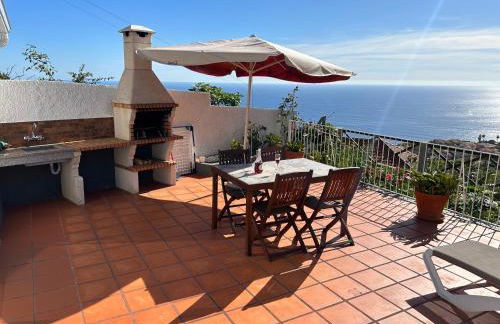 Tropical Garden - Photo 48