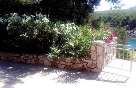 Hvar Melody, Island Hvar, Rosohotnica Bay - Foto 47