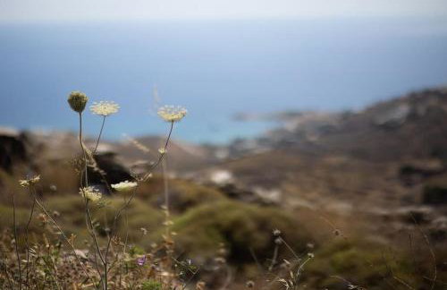 Kea 360 VILLAS - Aristaeus Abode - Foto 25