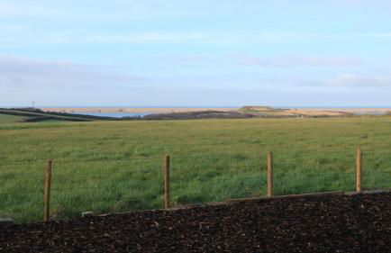 Longshore Drift - Photo 38