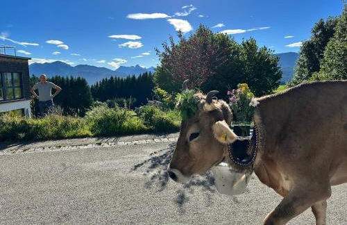 Elchegg - Chalet & Panorama-Loft - Foto 27