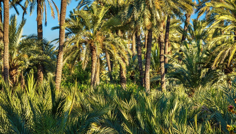 Tour in Gandia - Foto 3