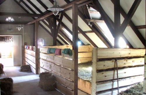 De Heuhoff-Hedwigsruh - Photo 7