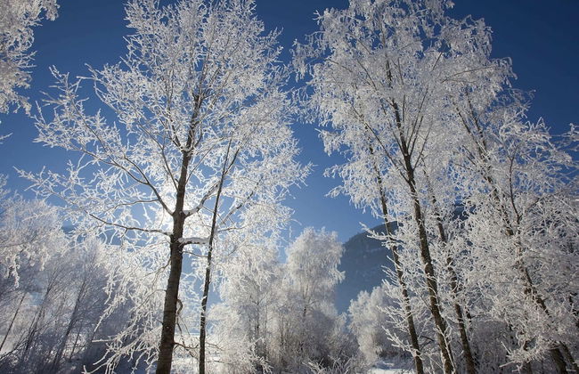 Holiday Home in ski Area in Mittersill - Foto 40