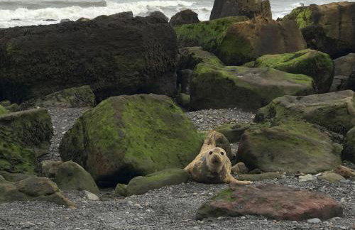 Mill House - Photo 25