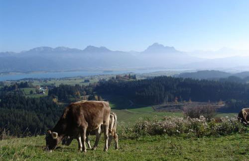 Apartement Hintere Schöne - Foto 25