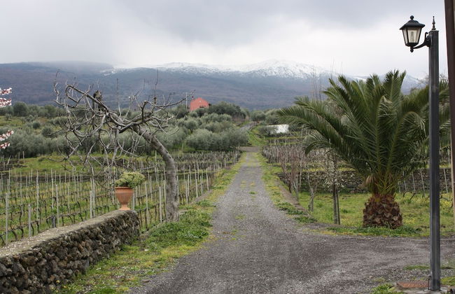 Etna Wine Agriturismo - Foto 36