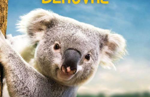 Gîte familial 12 pers. proche Valençay, ZooParc de Beauval et Châteaux de la Loire, parc arboré et jeux - FR-1-591-113 - Foto 15