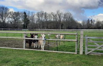Blashford Manor Holiday Cottage - The Dartmoor Cottage - Foto 14