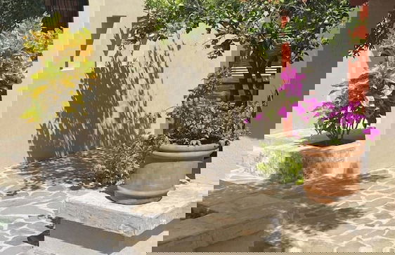 Renovated 1 Bdrm Guest House -walk to Everything -bikes -gym - Pickleball Court - Foto 50