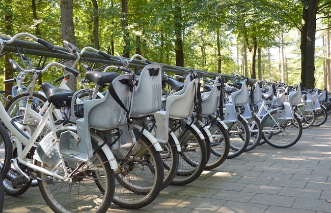 Cottage in Veluwe Near Forest Park - Foto 37