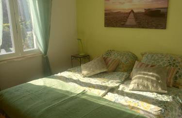 AFRODITA Bistrica - Photo 10