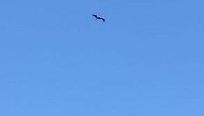 Domaine des Cerisiers - Piste cyclable reliant Honfleur - Parking privé & grand jardin - Foto 3