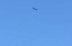 Domaine des Cerisiers - Piste cyclable reliant Honfleur - Parking privé & grand jardin - Foto 3