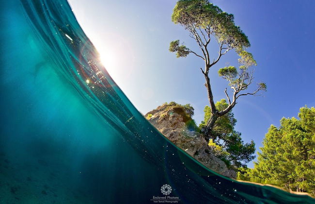 Apartments Mira - Foto 33