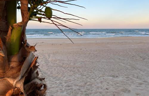 Jurema Branca Villa - Photo 18