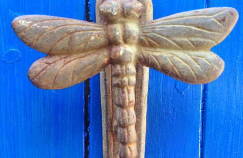 Domaine De La Provenç'âne - Foto 9