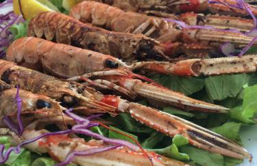 Appartement BM - Foto 12