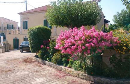 Traditional House - Foto 41