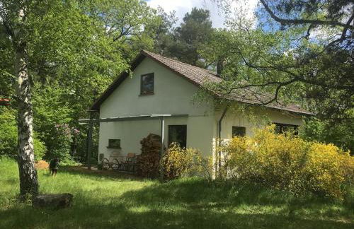 Ferienhaus im Wald an der Weinstrasse - Foto 2