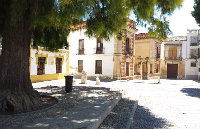 Casa Tipica Cordobesa en la Juderia - Photo 29