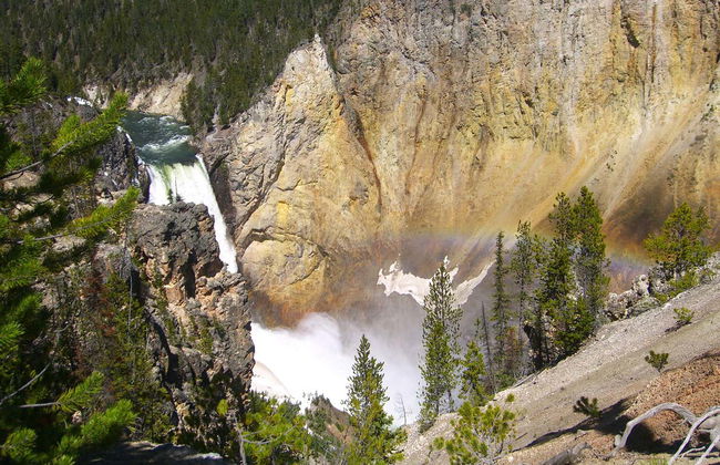 Tour di 4 giorni a Yellowstone e Grand Teton - Foto 4