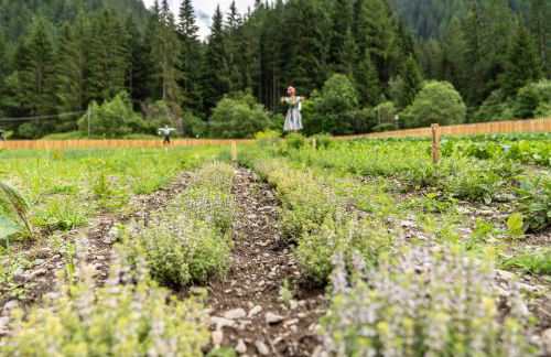 FONTIS luxury spa lodge - Photo 39