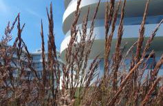 Perłowa Oaza Apartament Rogowo Pearl - Foto 35