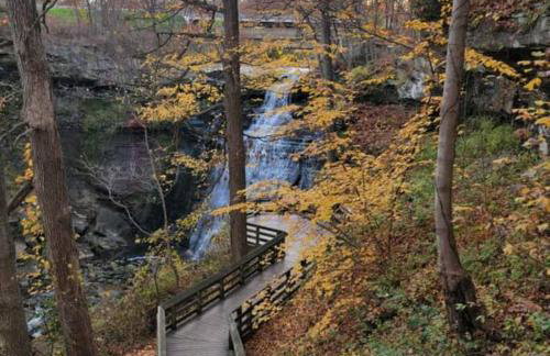 Cuyahoga Valley NP, Dog Friendly, Boston Mills Ski - Foto 10