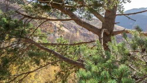 Urets by SeaMount Rentals - Foto 5