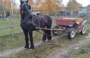 Gospodarstwo agroturystyczne - Foto 67