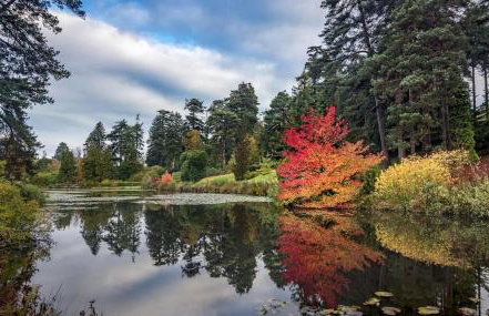 Tunbridge Wells and The High Weald AONB - Foto 14