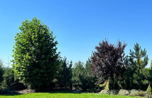 Stodoła Chillout Apartments - Foto 28