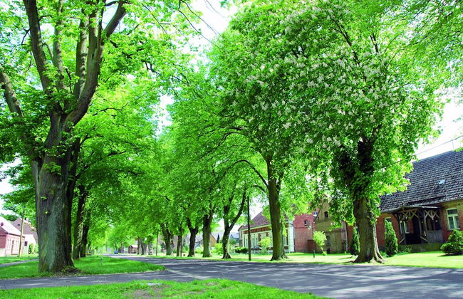 Ferienwohnung in der Mecklenburger Seenplatte - Foto 58