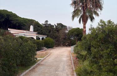 Finca Dos Vientos Tarifa - Foto 29