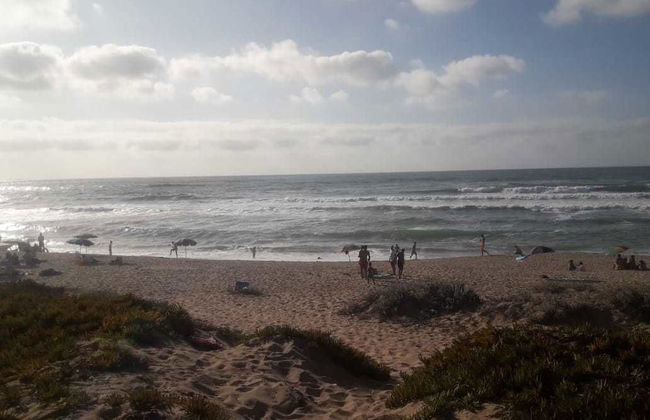 Paloma Pied Sur Sable - Foto 7