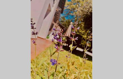 La Dolce Vita. Alloggio nel verde cuore del Friuli Venezia Giulia - Foto 22