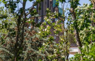 Livingroom Mathildenhöhe - Foto 18