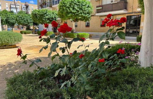 Triana Family suites - Photo 10