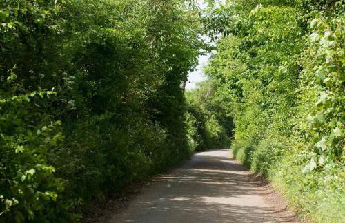 The Wobbin, Remote, Comfort, Sea Views and the beautiful Essex Marshes - Foto 33