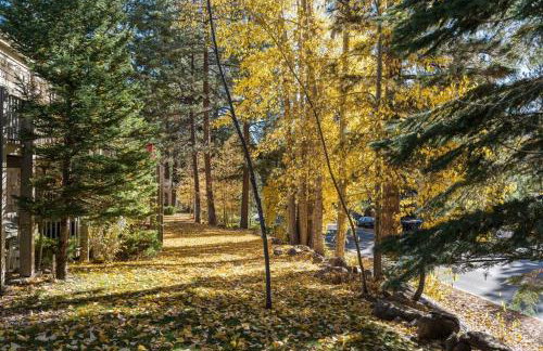 Tahoe Bliss: Ski, Hike, & Relax - Foto 56