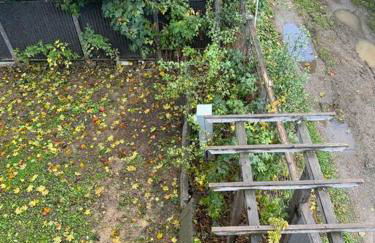 Mayor's Lake and Ski Suite - Foto 17