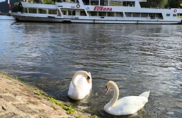 Haides helle Wohnung - Foto 18