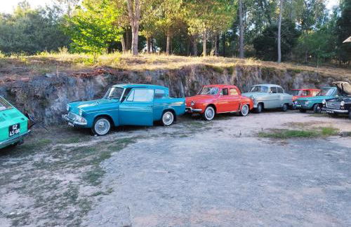 Glamping Frog Farm - Foto 45