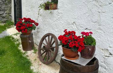 Dom Pod Dębem Agroturystyka - Foto 19