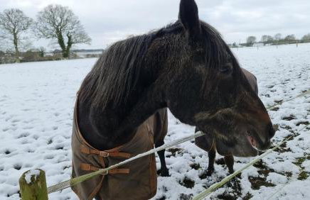 Church Farm Lodge - Foto 28